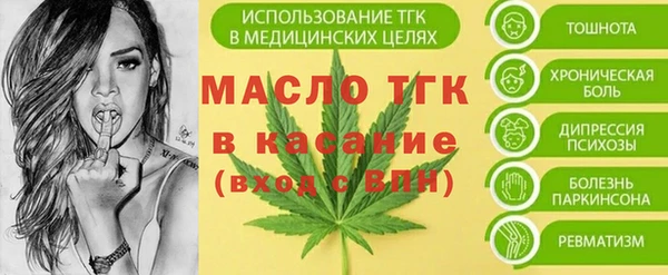 индика Семикаракорск