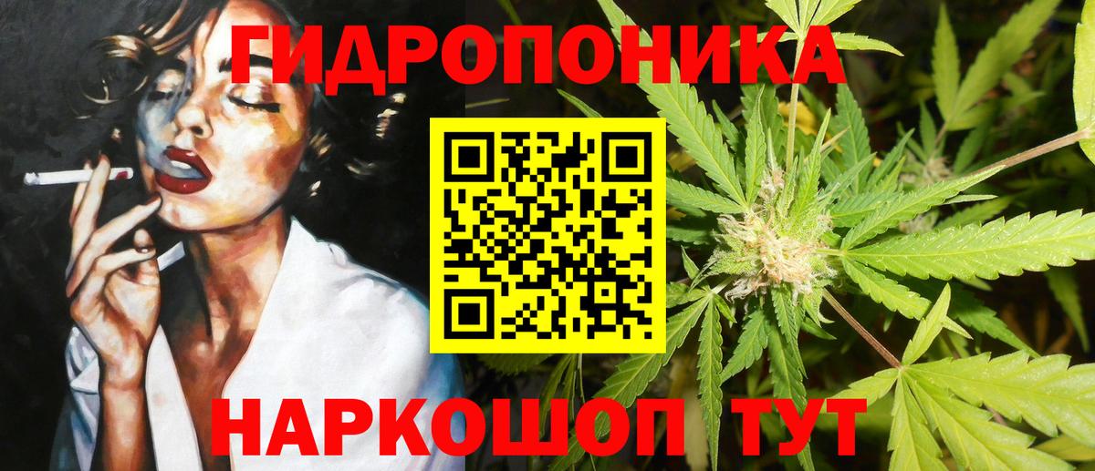 Медногорск  Конопля сатива  Конопля Amnesia  Вход с VPN 